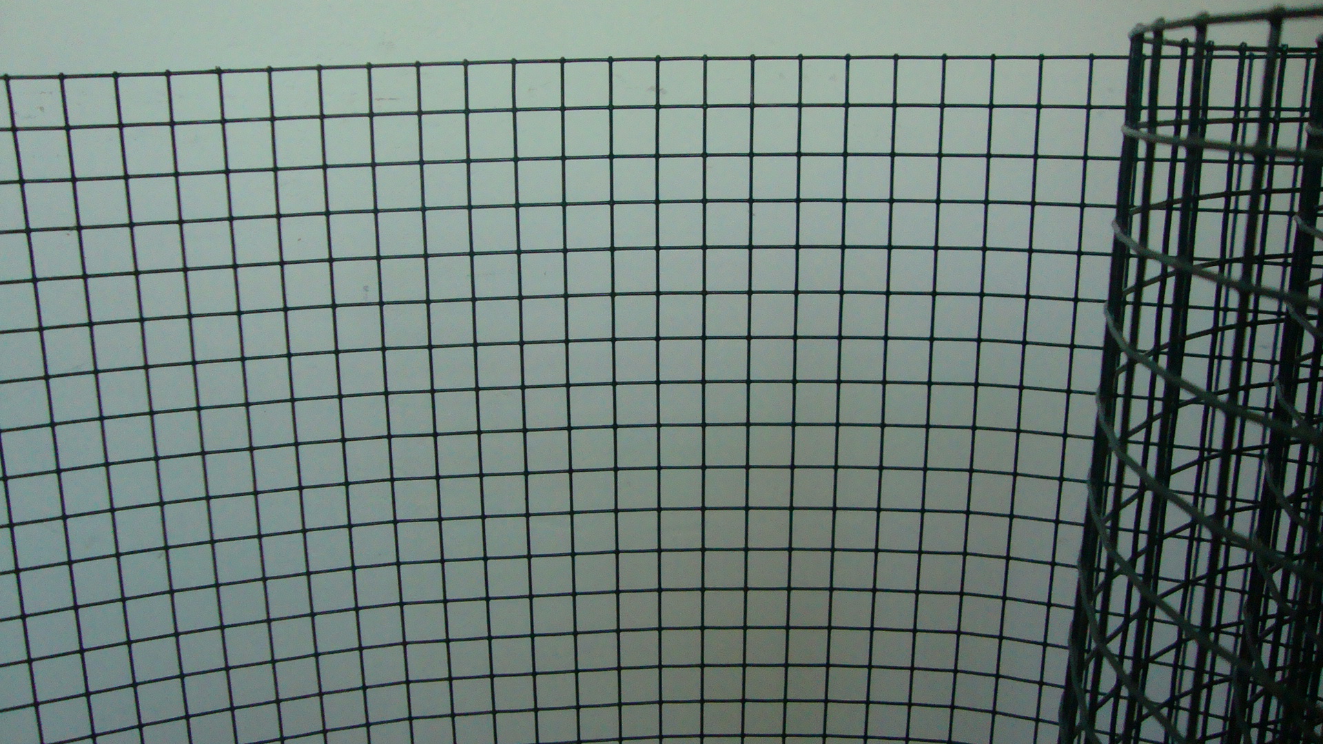 ESAPLAX Volierengitter grün MW 19,0 x 19,0 mm